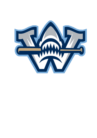 Mlb Gosharks Sticker by Wilmington Sharks Baseball