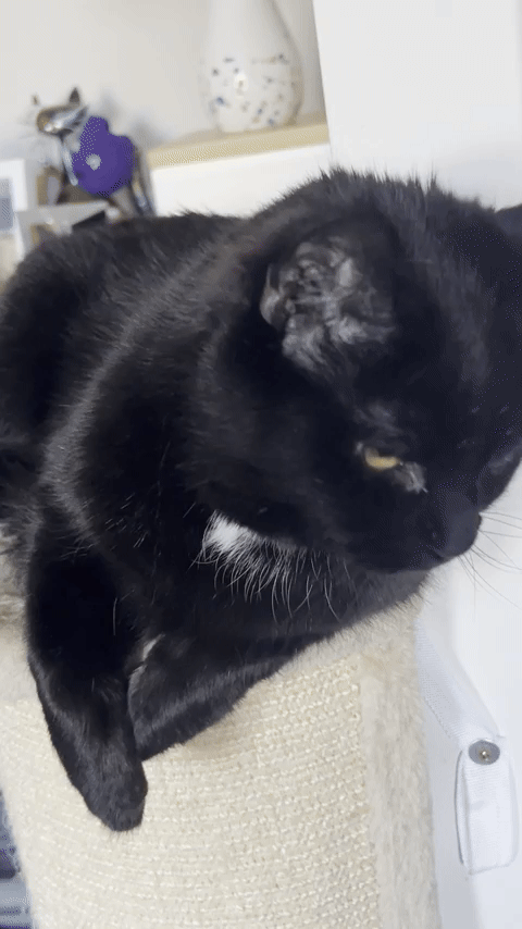 Not quite dinner time