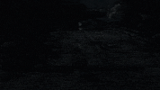 from software sekiro GIF