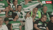 Sporting GIF by Betclic Portugal