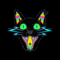 dilektunc cat trippy nft kitty GIF