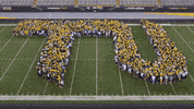 United Win GIF by Towson University