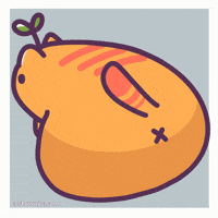 Cat Kitty GIF by Castaways