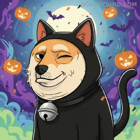 Jack O Lantern Smile GIF by Doge Pound