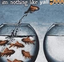 AmethystWoof reaction fish relatable fishbowl GIF