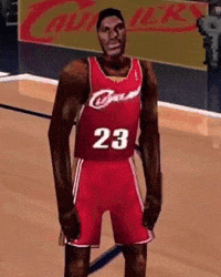 Lebron James Nba GIF by Respective