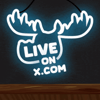 DoYouMoose live neon twitter web3 GIF