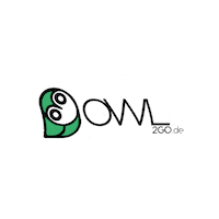 Owl Takeaway Sticker by Owl2go
