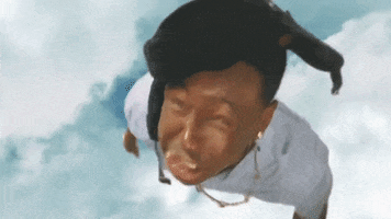 Tyler Skydiving GIF by Tyler, the Creator