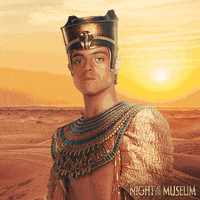 dwi deal with it GIF by Night At The Museum