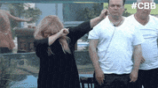 bbuk big brother reality tv cbb celebrity big brother GIF