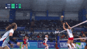 Happy Jump GIF by Volleyball World