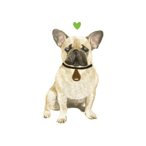 ProtectOne giphygifmaker dog frenchie ecopet Sticker