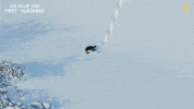 Snow Falling GIF by National Geographic Channel