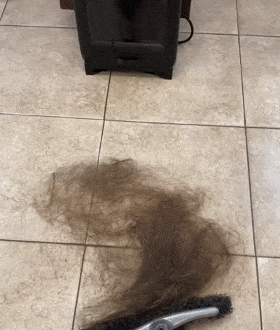 likedhu giphyupload wow bin GIF