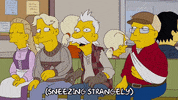 Season 20 Sneezing GIF by The Simpsons