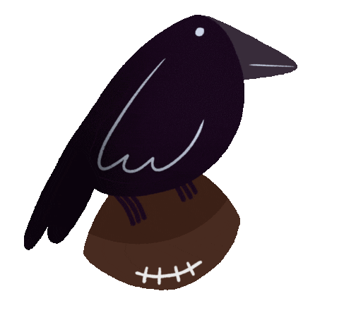 Baltimore Ravens Football Sticker
