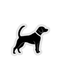 RedPandaRo dog animal pet redpanda Sticker