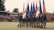Air Force Flag GIF by Norwich University