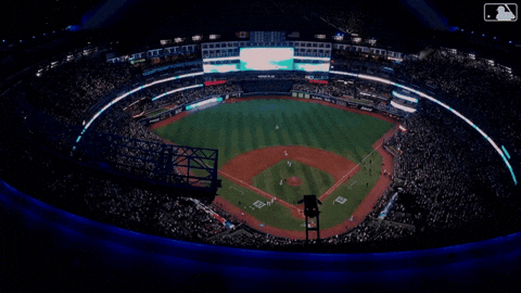 Canadian Baseball GIF by Toronto Blue Jays