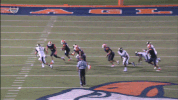 block cnfb18 GIF by Carson-Newman Athletics