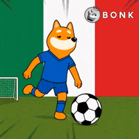 Crypto Fifa GIF by BONK