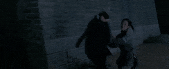 GIF by Crouching Tiger, Hidden Dragon 