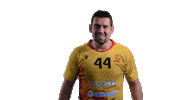 Handball Riihimaki Sticker by RiihimäenCocks
