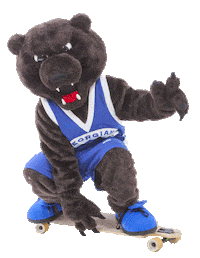 GeorgianCollege bear mascot skateboard georgian Sticker