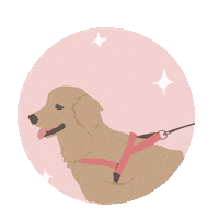 mollythreads dog dogs pup dog walking Sticker
