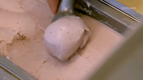 viceland GIF by THE ICE CREAM SHOW