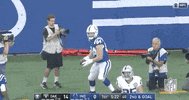 2019 Nfl Football GIF by NFL