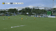 GIF by Michigan Athletics