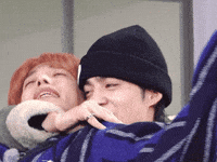 Dk 세븐틴 GIF