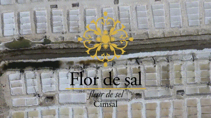 seasalt flordesal GIF by Cimsal