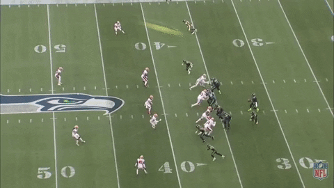 xocoveza giphygifmaker GIF