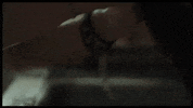 GIF by It Felt Like Love
