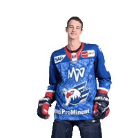 Nick Mähler Sticker by Adler Mannheim