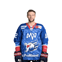 Hayden Shaw Sticker by Adler Mannheim