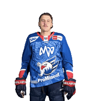 Leon Gawanke Sticker by Adler Mannheim