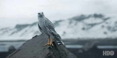 We Are All Subject To The Fates