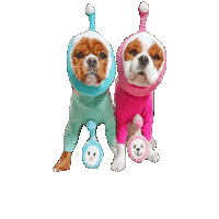 Dogs Love Sticker