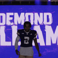 Bow Down University Of Washington GIF by Washington Athletics
