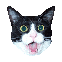 surprised STICKER by imoji