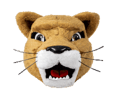 Mascot Heart Eyes Sticker by University of Houston