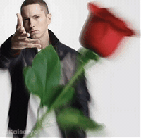 Flowers Love GIF