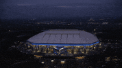 Football Soccer GIF by FC Schalke 04