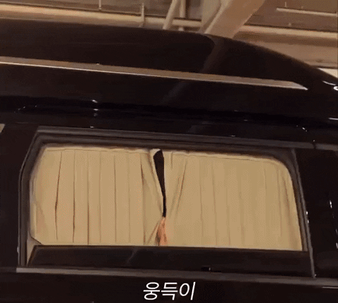 34gfhhhhfdg giphyupload GIF