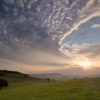 Confess Jesus Christ GIF