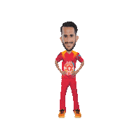 League Win Sticker by Islamabad United